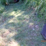 境内の様子(草刈り後)