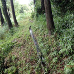 排水口、排水量の確認・清掃